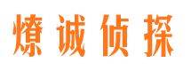 平坝市调查公司